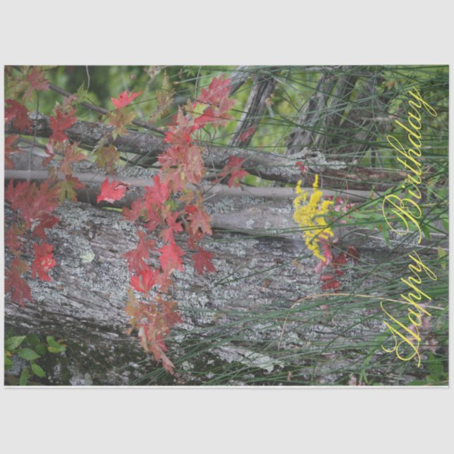 Papel De Seda Flor silvestre feliz cumpleaños (Anverso)