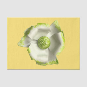 Papel De Seda Flor Verde Flor Blanca Joyería Floral Verano Grand