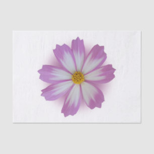 Papel De Seda Flor violeta clara
