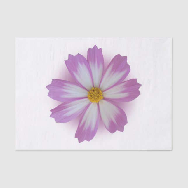 Papel De Seda Flor violeta clara (Anverso)