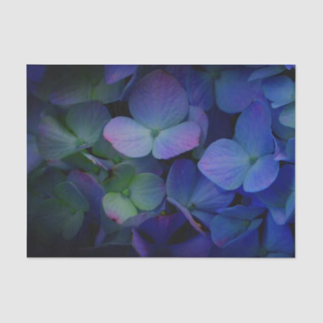 Papel De Seda Flor violeta púrpura rosa azul horangeas floral (Anverso)