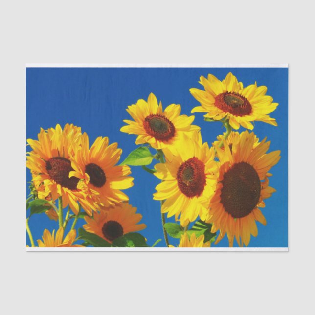 Papel De Seda Floración de los girasoles (Anverso)