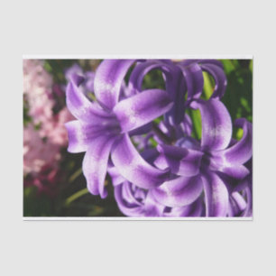 Papel De Seda Floral azul de Hyacinto I primavera