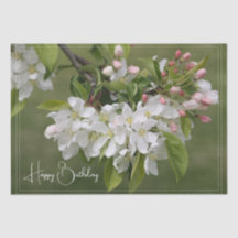 Floral blanca elegante