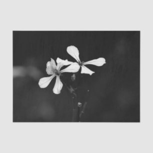 Papel De Seda floral blanca y negra mínima