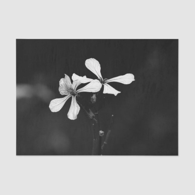 Papel De Seda floral blanca y negra mínima (Anverso)