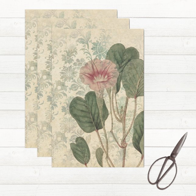 Papel De Seda Floral Botánico Vintage (Floral tissue paper for decoupage or gift wrapping)