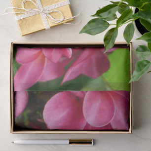 Papel de seda floral con foto de Plumeria rosa
