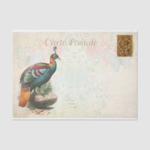 Papel De Seda Floral de aves exóticas de color vintage