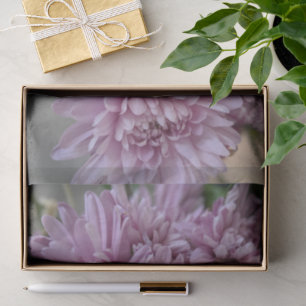 Papel de seda floral de crisantemo rosa para fotos