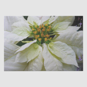 Papel De Seda Floral de feriado de Navidades elegantes de Poinse