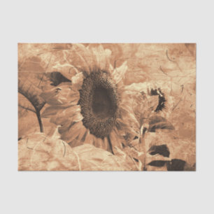 Papel De Seda Floral de la antigua ciudad del girasol Sepia