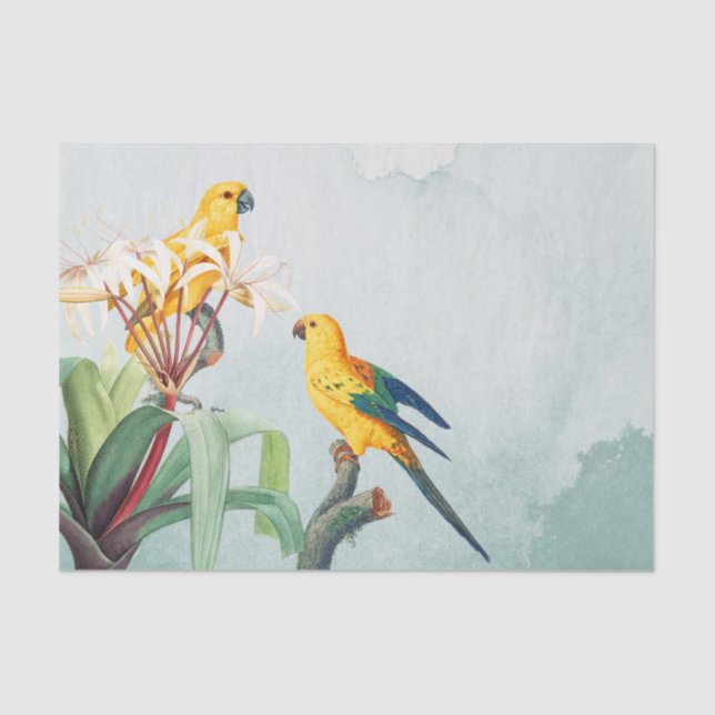 Papel De Seda Floral de loros amarillos tropicales (Anverso)