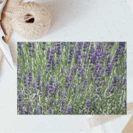 Papel De Seda Floral de los campos de lavanda morada