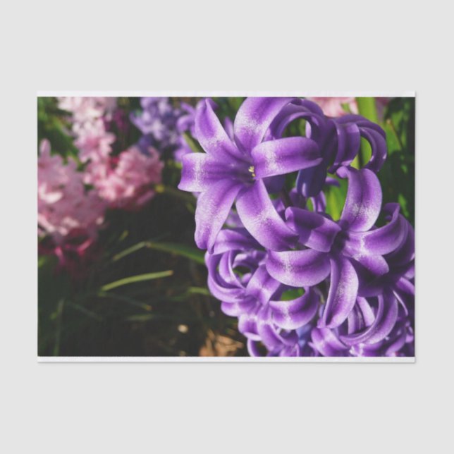 Papel De Seda Floral de primavera azul Hyacinin II (Anverso)