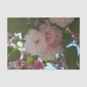 Papel De Seda Floral de primavera del árbol de cerezo doble flor