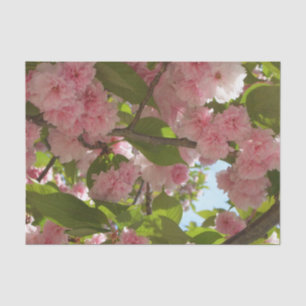 Papel De Seda Floral de primavera del árbol de cerezo III con do
