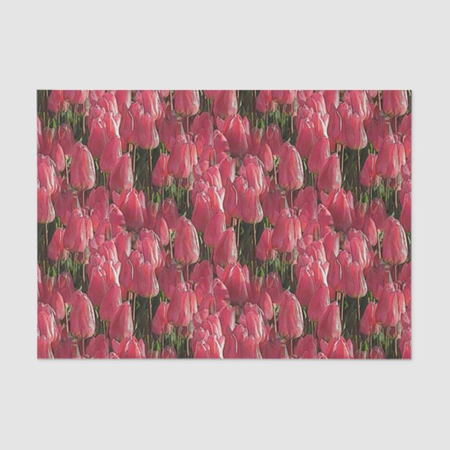 Papel De Seda Floral de tulipanes rosados (Anverso)