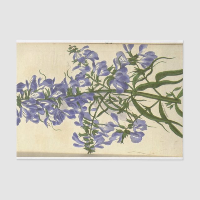 Papel De Seda Floral Ephemera Decoupage Purple Blue (Anverso)