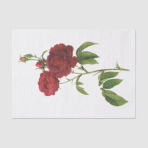 Papel de seda floral flores rosas rojas vintage #1