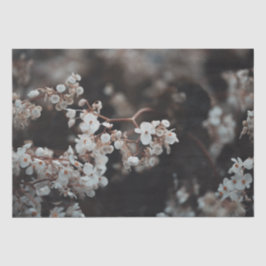 Papel De Seda Floral Malhumorada