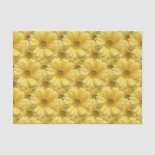 Papel de seda floral regalo margaritas amarillas