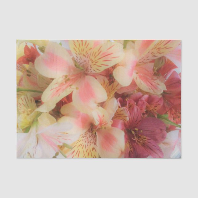 Papel De Seda Floral suave (Anverso)