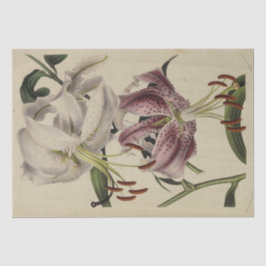 Papel De Seda Floral vintage Ephemera Decoupage Lirio morado