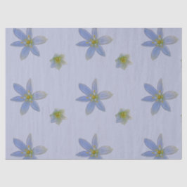 Papel De Seda florecer en blanco