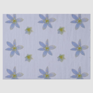 Papel De Seda florecer en blanco