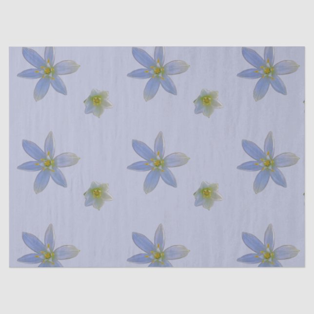 Papel De Seda florecer en blanco (Anverso)