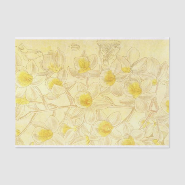 Papel De Seda Flores antiguas dibujando con descomposición amari (Anverso)