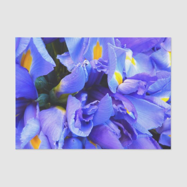 Papel De Seda Flores azul Iris (Anverso)