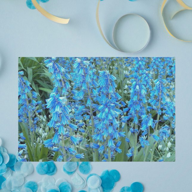 Papel De Seda Flores azules de bonito (In Situ)