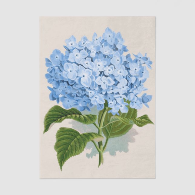 Papel De Seda Flores azules del cielo de Shabby Chic Light Paste (Anverso)