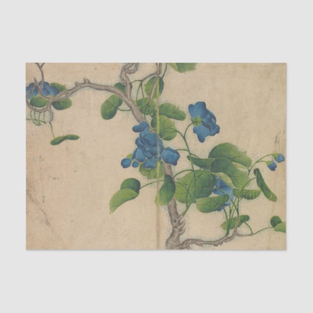 Papel De Seda Flores azules trepando por Zhang Ruoai (Anverso)