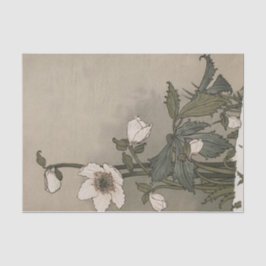 Papel De Seda Flores blancas por Eugene Grasset