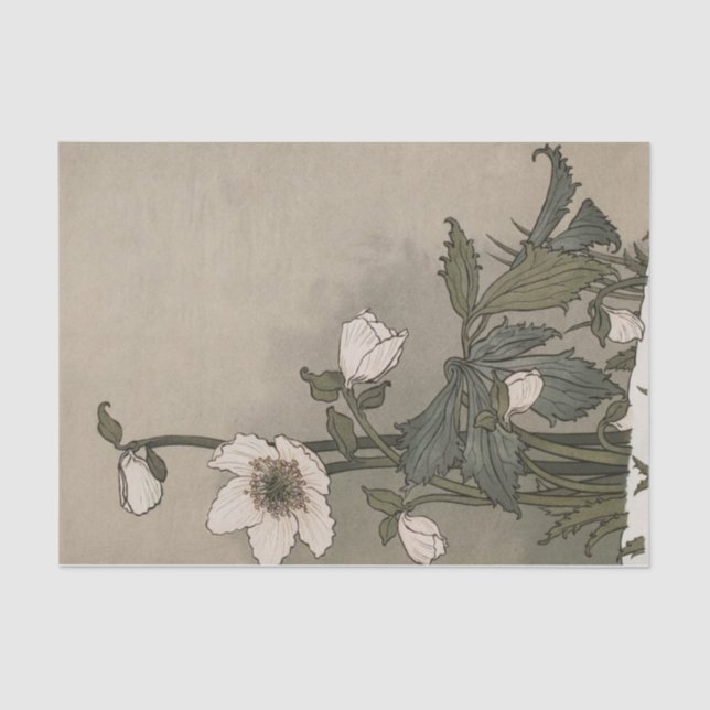 Papel De Seda Flores blancas por Eugene Grasset (Anverso)