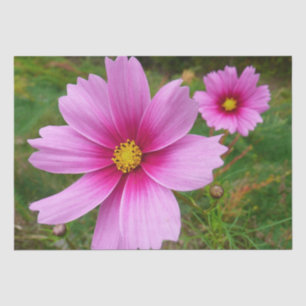 Papel De Seda Flores Cosmos rosadas Flores silvestres