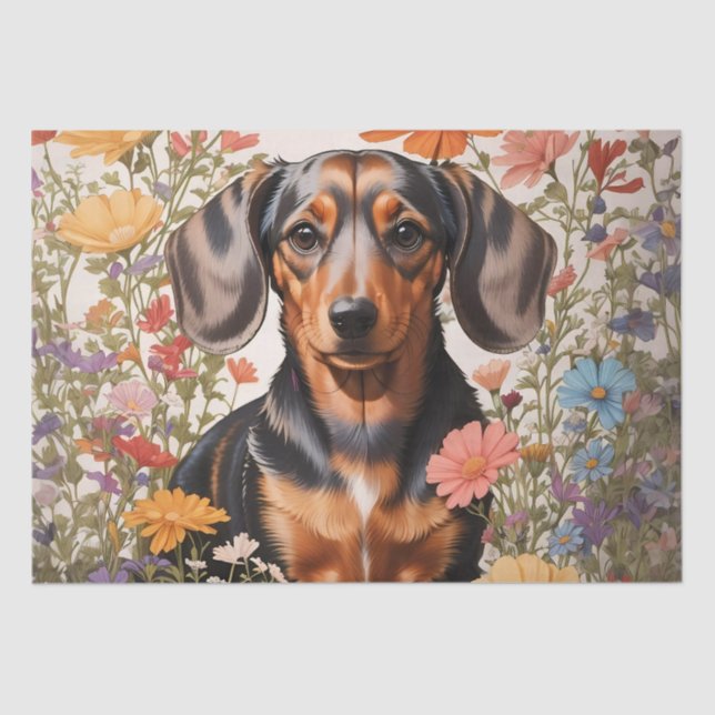 Papel De Seda Flores Cute Brown Dachshund Y Cosmos (Anverso)