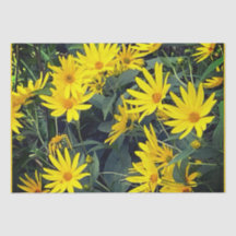 Flores de Aguaturma