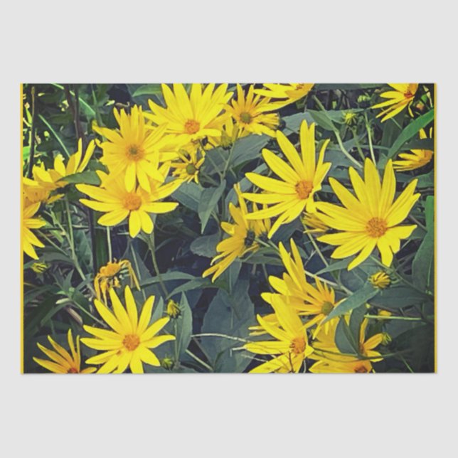 Papel De Seda Flores de alcachofa de Jerusalén (Anverso)