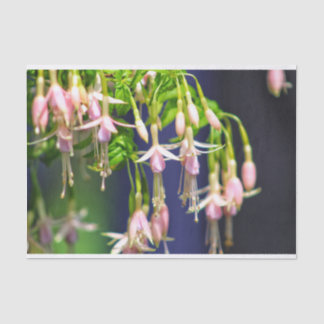 Papel De Seda Flores de Ballerina