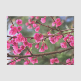 Papel De Seda Flores de cerezo