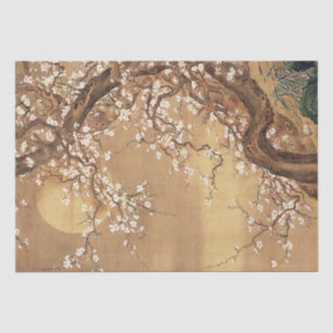 Papel De Seda Flores de ciruelas antiguas japonesas a la luz de 