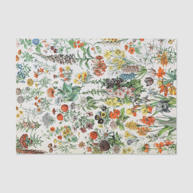 Papel De Seda Flores de época  (Anverso)
