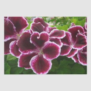 Papel De Seda Flores de Geranio Real Elegantes Florales Granate