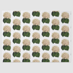 Papel De Seda Flores de hidrangea verde rosa rosa vintage #2