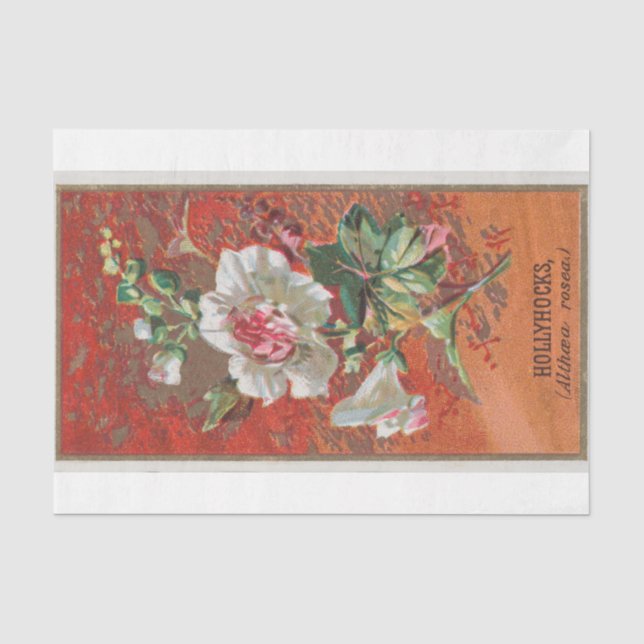 Papel De Seda Flores de hollyhock clásicas de época (Anverso)