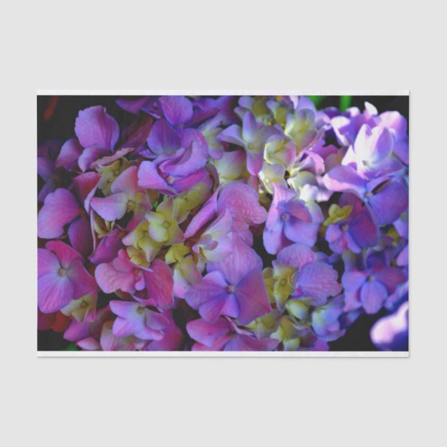 Papel De Seda Flores de Hydrangeas azul morado (Anverso)